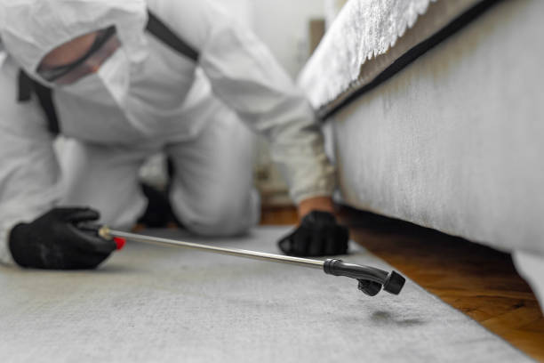 Professional Ant Control technician working in Bohners Lake, WI