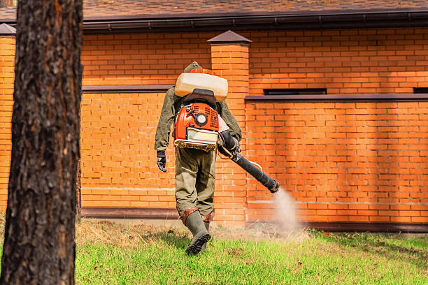 Trusted Mosquito Control service in Bohners Lake, WI - Nex Pest Control
